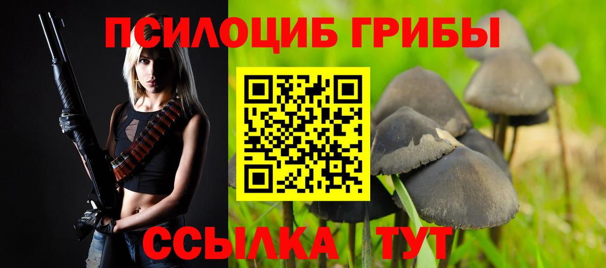 Ессентуки  Галлюциногенные грибы мухоморы  Вход с VPN  Псилоцибиновые грибы мухоморы 